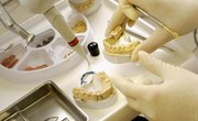 Dental Colleges in Germany