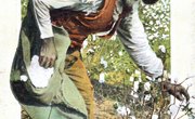 The Cycle of Poverty in the Civil War