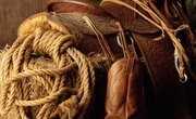 Who Invented the Lasso?