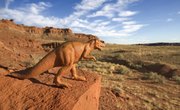 The Five Most Severe Mass Extinctions During the Phanerozoic Eon