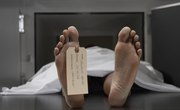 The Best Forensic Pathology Colleges in the United States