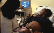 The College Major Requirements for a Maternity Nurse
