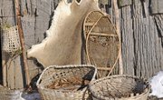 About the Iroquois