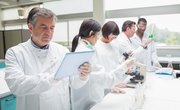 Sciences Related to Economics