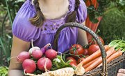 How Does Healthy Food Affect Test Scores of Students?
