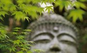 The Buddhist Meaning of Mindfulness