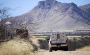 What Does Homeland Security Do?