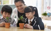 How Do Explicit & Implicit Curriculum Differ?