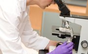 Merck Educational Grants