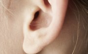 The Decibel Level of Normal Speech