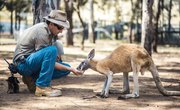The Different Fields of Zoology