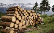 Lumberjack Tools of the 1800s