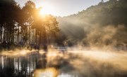 Algonquin Beliefs in Spirits & Nature