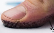 Who Discovered Fingerprints Were Unique?
