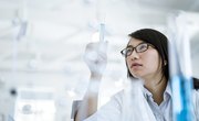 What Is the Function of the Hypothesis?