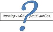 How to Guess What a Word Means