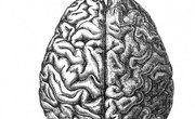 How to Read IQ Test Scores