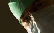 Different Levels of a Doctor's College Degrees