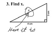 Basic Skills Test Samples
