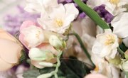 Floral Design Schools in Georgia