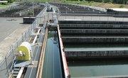 Shrimp Farming Schools