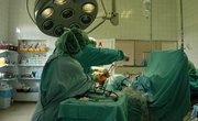 Schools for a Cardiopulmonary Perfusionist