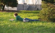 How to Learn Swiss German for Free