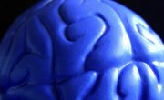 Required Classes for a Neurologist