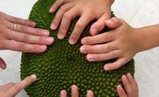 Kinesthetic Classroom Strategies