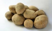 How to Dress Potatoes for a School Project