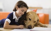 How to Make a Better Grade on the MAP Test