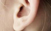 Kindergarten Lesson Plan on Sounds