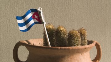 Cuba has a variety of nursing schools.