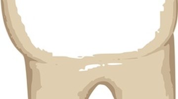 Sketch of a molar