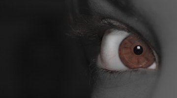 Become A Trained Spy--Online!