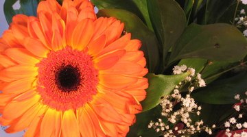 Floral design is a fun, creative profession.