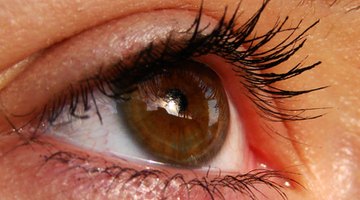 Visual memory is critical to learning and while natural abilities differ, testing can improve performance.