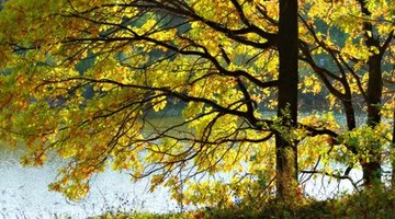 Discussing changes in nature helps children to understand seasonal change.