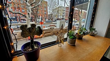 Proof Coffee Roasters