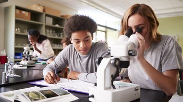 How to Make a Rough Draft on Science Projects