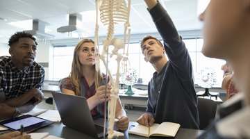 Easy Ways to Remember the Systems of the Body