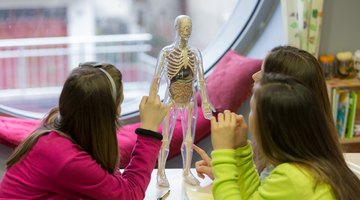 What Types of Biology Majors Are There? 
by Krissi Danielsson