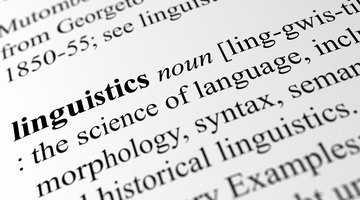 The Differences Between Cognitive and Psycholinguistics