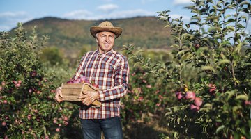 Farming in Colonial times was not just a job; it was a way of life.