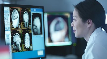 Highest Ranking Neuroscience PhD Programs