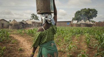 The Importance of Farming to the Economy in Ancient Ghana