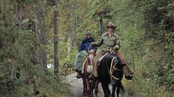 Park rangers protect wildlife and visitors from criminal behavior.