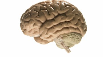 IQ tests measure knowledge, cognitive skills and abstract thinking.
