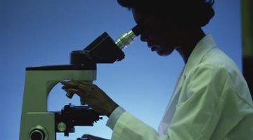 You need a microscope to observe the creatures studied in microbiology.