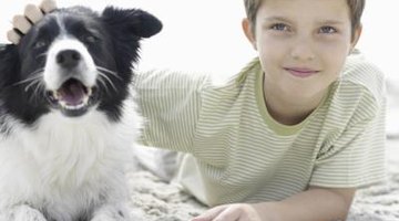 A canine science project teaches about responsible pet care and training.